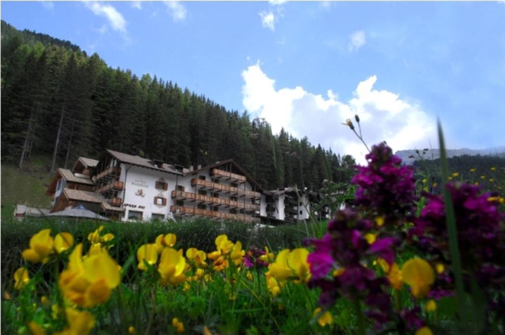 Hotel Scoiattolo Tesero Esterno foto